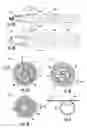 Fig. 03 - Armored fiber optic assemblies and methods of making the same