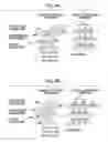 Fig. 06 - Developing device and image forming apparatus with liquid developer coating members