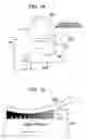Fig. 13 - Developing device and image forming apparatus with liquid developer coating members