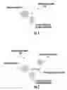 Fig. 02 - Photoacoustic probes and methods of imaging