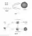 Fig. 02 - Controllable Virus/Protein Assemblies and Methods of Making the Same