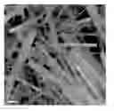 Fig. 01 - Nanomaterial With Core-Shell Structure