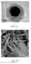 Fig. 02 - Nanomaterial With Core-Shell Structure
