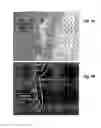 Fig. 02 - Nucleic acid ligands to complex targets
