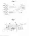 Fig. 02 - Electronic circuit and radio communications system