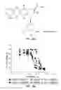 Fig. 07 - Targeted delivery to legumain-expressing cells