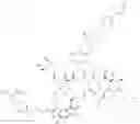 Fig. 50 - Phosphonated glycopeptide and lipoglycopeptide antibiotics and uses thereof for the prevention and treatment of bone and joint infections