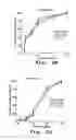 Fig. 04 - Method and composition for inhibiting cardiovascular cell proliferation