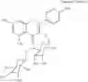 Fig. 07 - Method For Preparing Kaempferol-3-0-Rutinoside and Composition of Skin External Application Comprising Thereof