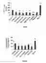 Fig. 02 - cAMP DEPENDENT INDUCTION OF AUTOPHAGY