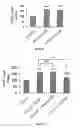 Fig. 09 - cAMP DEPENDENT INDUCTION OF AUTOPHAGY
