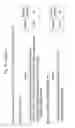 Fig. 71 - Bifidobacterial gene sequences and their use