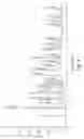 Fig. 09 - Salts and polymorphs of 9-(2,2-dimethylpropyl-aminomethyl) minocycline