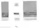 Fig. 08 - PHOTOREACTIVE RU (II) COMPLEXES ANCHORED ON OLIGONUCLEOTIDES, METHOD FOR OBTAINING THEM AND USE THEREOF