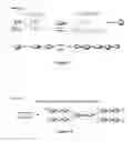 Fig. 02 - CURATIVES FOR EPOXY ADHESIVE COMPOSITIONS