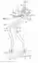 Fig. 01 - Walking assistance device