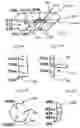 Fig. 28 - Apparatus for tissue repair