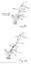 Fig. 55 - Apparatus for tissue repair