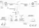 Fig. 01 - REAL-TIME DISTRIBUTION OF TARGETED ADVERTISEMENT AND SPONSORED CONTENT