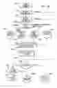 Fig. 45 - AUTOMATED DOCUMENT CASHING SYSTEM