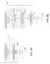 Fig. 09 - Landmark chunking of landmarkless regions