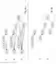 Fig. 09 - Method and an apparatus for data recording and streaming