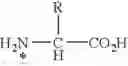 Fig. 02 - METHODS AND COMPOSITIONS FOR THE MODULATION OF AMINO ACID BIOSYNTHESIS