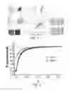 Fig. 05 - NEAR FIELD SCANNING MEASUREMENT-ALTERNATING CURRENT-SCANNING ELECTROCHEMICAL MICROSCOPY DEVICES AND MEHTODS OF USE THEREOF