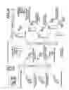 Fig. 19 - Process and machine for automated manufacture of gastro-retentive devices