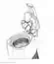 Fig. 01 - Food processor of the citrus press or juicer type