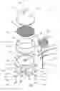 Fig. 02 -  BARBEQUE COOKER