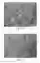 Fig. 03 - Copper-gallium allay sputtering target, method for fabricating the same and related applications