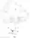 Fig. 02 - Portable hunting tree stand