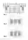 Fig. 02 - Device for generating cold plasma in a vacuum chamber and use of said device for thermo-chemical processing