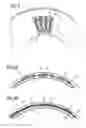 Fig. 04 - Bore tube assembly