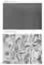 Fig. 02 - Polymerizable liquid crystal composition and optical film and device using the same