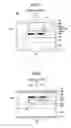 Fig. 04 - Surface-emission laser diode and fabrication process thereof
