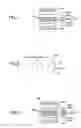 Fig. 05 - Surface-emission laser diode and fabrication process thereof