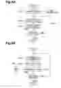 Fig. 07 - Coding method for motion-image data, decoding method, terminal equipment executing these, and two-way interactive system