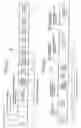 Fig. 03 - Image decoding apparatus