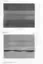 Fig. 06 - FILM FORMATION AND EVALUATION