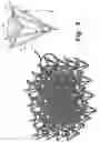 Fig. 05 - Three-dimensional auxetic structures and applications thereof