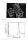 Fig. 02 - Positive electrode active material sintered body for battery