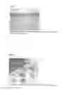Fig. 02 - PROCEDURE FOR LONG TERM CORNEAL CULTURE