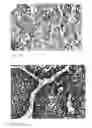 Fig. 05 - Detection, screening, and diagnosis of HPV-associated cancers