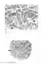Fig. 07 - Detection, screening, and diagnosis of HPV-associated cancers