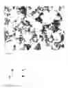 Fig. 13 - Detection, screening, and diagnosis of HPV-associated cancers