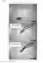 Fig. 07 - Fluorescent neutralization and adherence inhibition assays