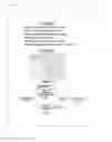 Fig. 12 - Fluorescent neutralization and adherence inhibition assays