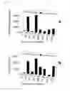 Fig. 16 - Fluorescent neutralization and adherence inhibition assays